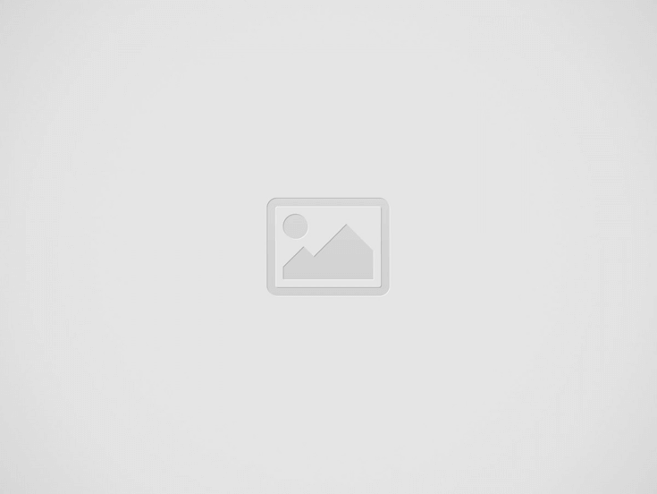 betelli-spor-bahisleri-sorunsuz-giris